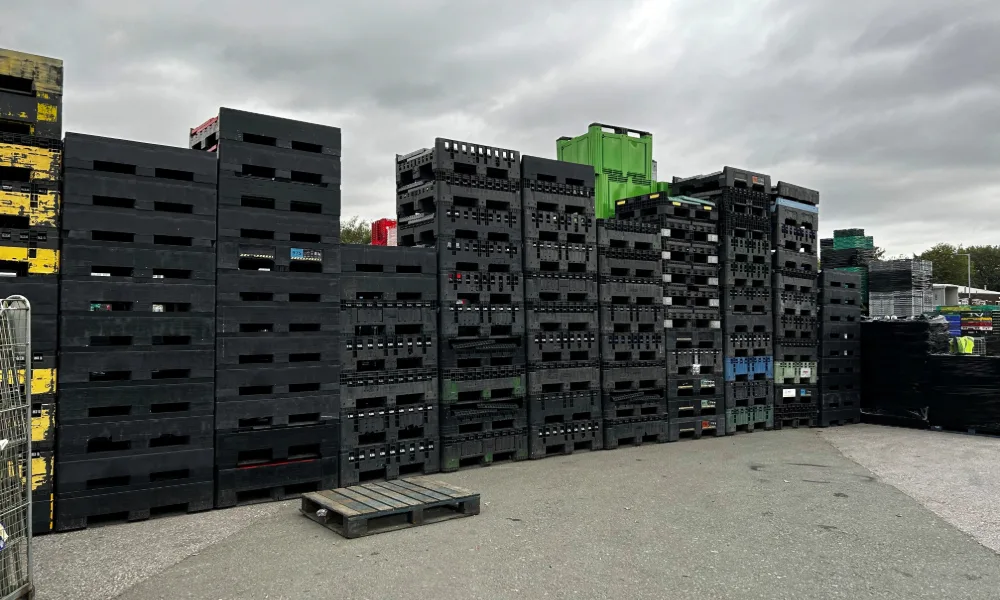 collapsible plastic pallet boxes